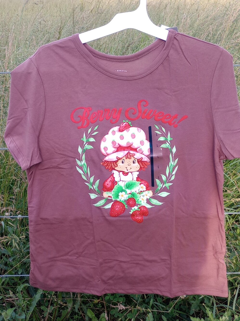 NWT Berry Sweet! Strawberry Shortcake Graphic Tee - Mauve Multiple Sizes & Quant